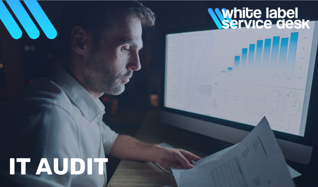 common findings in it audit