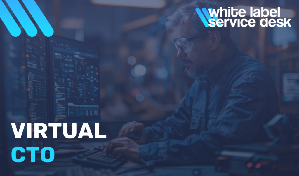 role of virtual cto